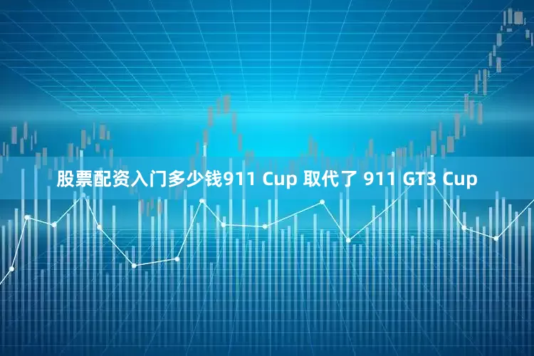 股票配资入门多少钱911 Cup 取代了 911 GT3 Cup