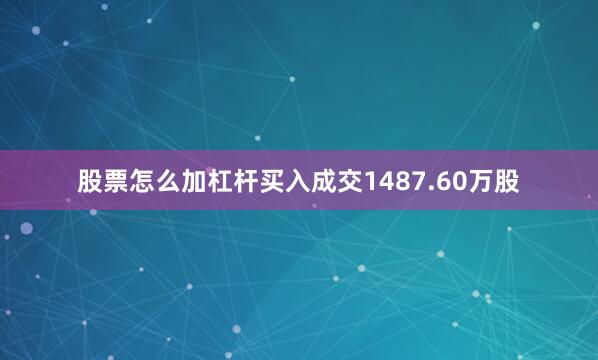 股票怎么加杠杆买入成交1487.60万股